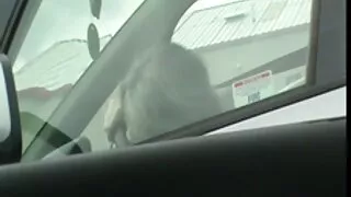 Pieprzy cipy darmowe filmy się z dwoma pożądliwymi dziewczynami w łóżku i brutalnie skończył