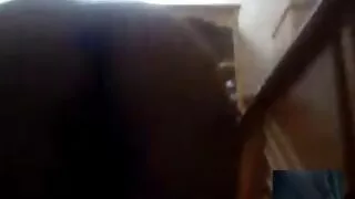Stojąc na kolanach cipki darmowe zdjecia ładna dziewczyna bierze go w usta